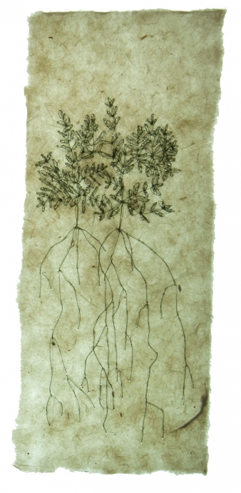 http://jennabonistalli.com/files/gimgs/th-9_15L_WhiteWildIndigo_v2.jpg