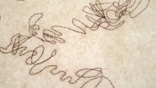 http://jennabonistalli.com/files/gimgs/th-19_Touch_Dream_detail1.jpg