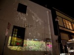 http://jennabonistalli.com/files/gimgs/th-44_wildflowernight_install2.jpg