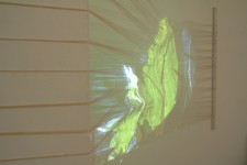 http://jennabonistalli.com/files/gimgs/th-57_Night48FruitDreaming050320.jpg
